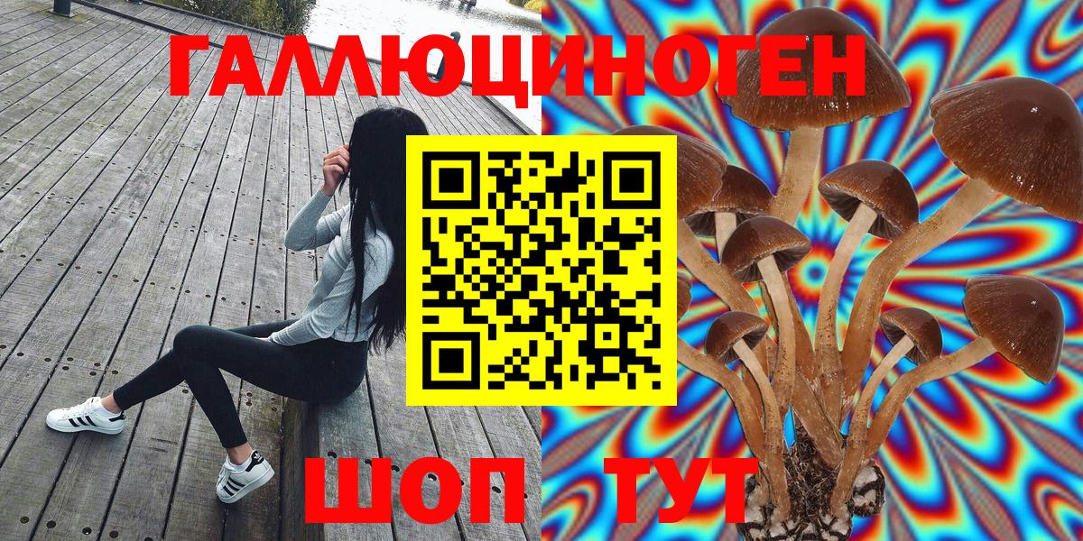 Галлюциногенные грибы Psilocybine cubensis Ирбит