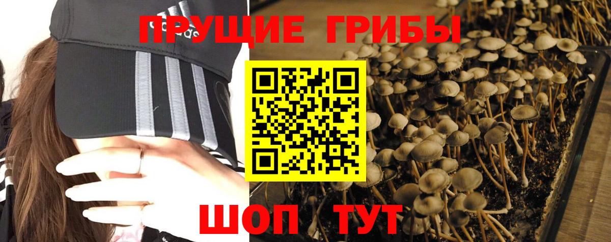 Ирбит  Галлюциногенные грибы ЛСД  Вход с VPN 